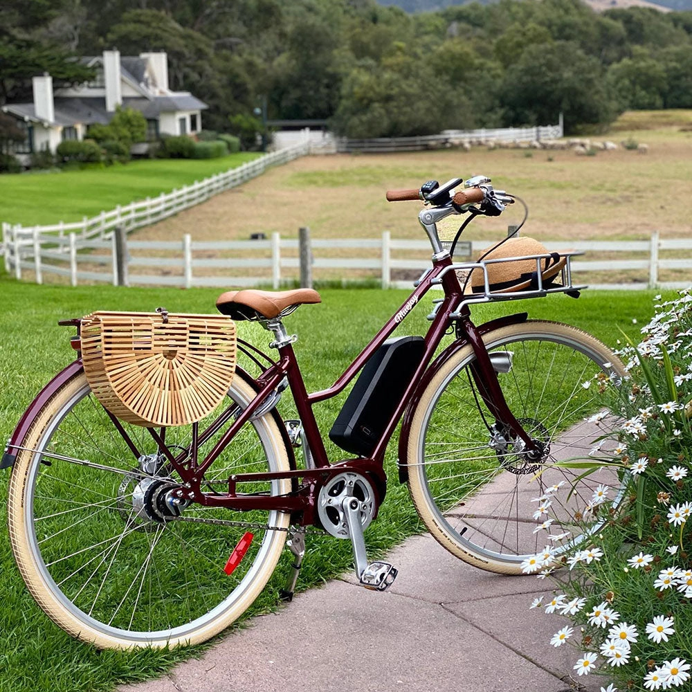 Half Circle Bamboo Bike Bag