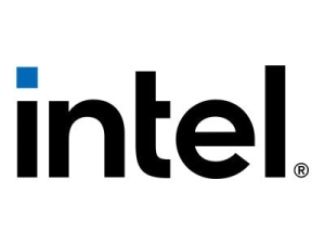 Intel - Power supply - hot-plug (plug-in module) - 2500 Watt 100SWDPS001