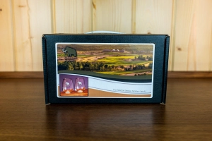 Mammoth Dunes Stemless Wine Glass Set