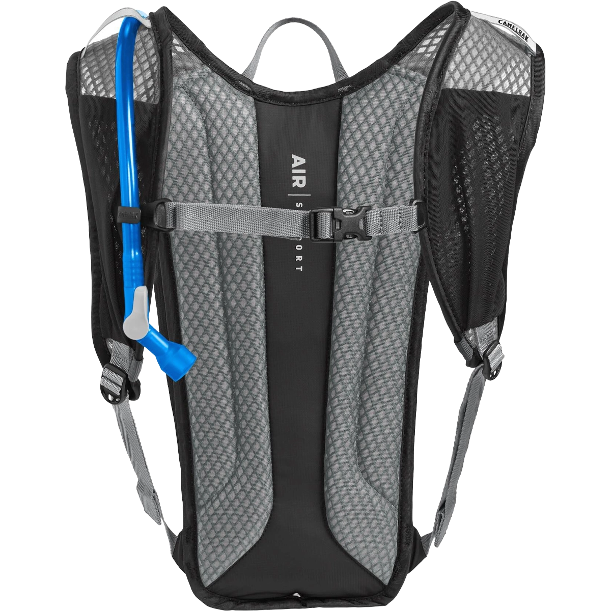 Rogue Light 7